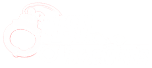 BDSM Verzeichnis